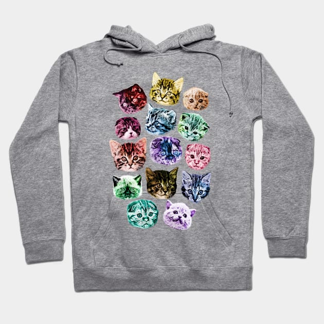 cats Hoodie by shirleyshirl